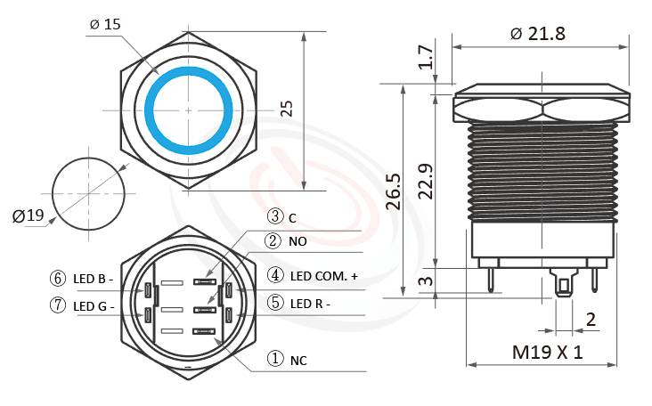 帶燈防水開關Φ19mm小型短款、RGB 三色LED,共負極/共正極、平柄、環形燈、瞬切回彈、SPDT、Ring金屬帶燈開關的外型尺寸。鉑達型號: MP19S-7MFRGB