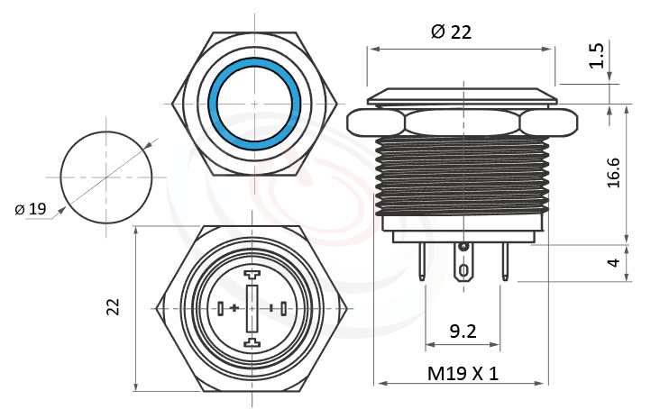 MP19-4MF Series 尺寸圖,標示產品: Φ19mm短款、環形燈、平圓形、環狀燈、無鎖復位、常開1NO、Ring Illuminated帶燈防水開關的外型尺寸。| MP16TECH鉑達 提供各種 anti-vandal Switches專業服務。