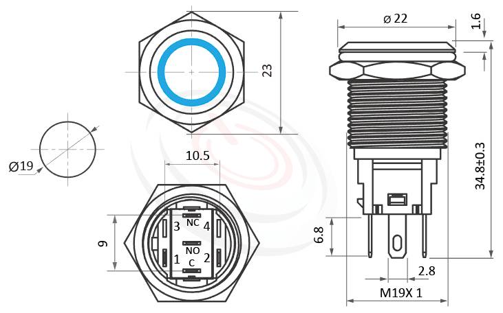 MP19F-5MF Series 尺寸圖,標示產品: Φ19mm金屬黃銅外殼、環型LED、平圓形、Ring illuminated、自復回彈、SPDT、環型LED金屬帶燈開關的外型尺寸。| MP16TECH鉑達 提供各種 Waterproof Switch專業服務。